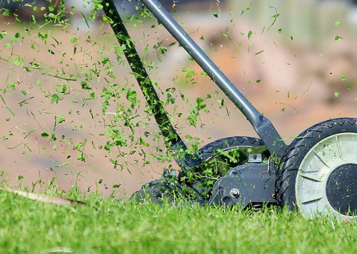 Yeşil ve Bakımlı Çim Alanları İçin Çim Bakımı