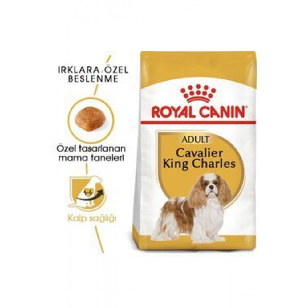 Royal Canin Cavalier King Charles Adult Köpek Maması 1,5 Kg